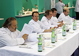 Oscar Cabrera - Campeonato de España - Jurado