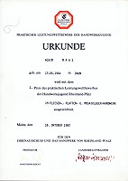 Urkunde 1. Preis des praktischen Leistungswettbewerbs
