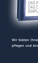 Erfolgreich im Internet auftreten!