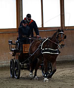Irene Hallentraining Dielsdorf FCL