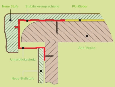 Querschnitt