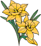 Fr&uuml;hling