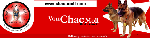 chacmoll banderita