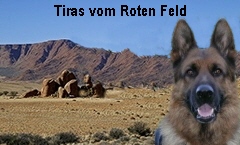 Dagmar und Tiras vom Roten Feld