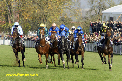 Flachrennen Frauenfeld 2008