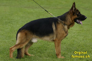 Bild 1 Fotoschule famoso.ch