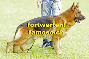 Bild 4 Fotoschule famoso.ch