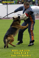 Ober von Bad-Boll TSB_Top_19