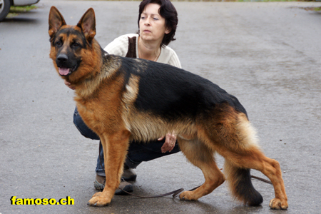 Rey nach der Ausstellung /Parkplatz