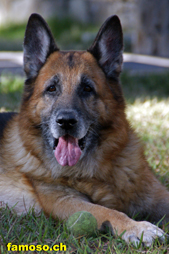Hans mit 10 Jahren