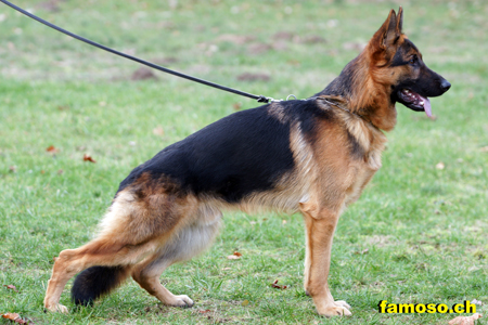 Jagger vom Assaut Nov. 2009