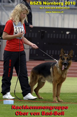 BSZS Nürnberg 2010/Rey von der Biberfalle