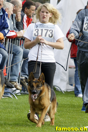 BSZS 2010/Gangwerksprobe/Rey von der Biberfalle