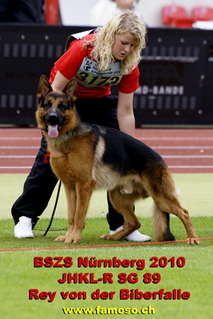 BSZS Nürnberg 2010 Rey von der Biberfalle