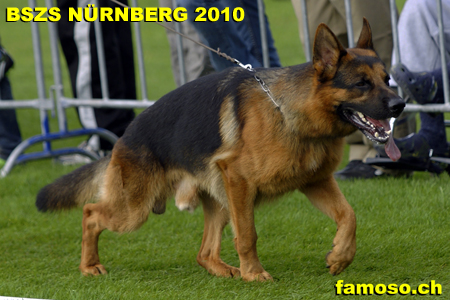 Gangwerksprobe Rey BSZS N&uuml;rnberg 2010