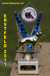 Logo-Plakat Erstfeld 2011
