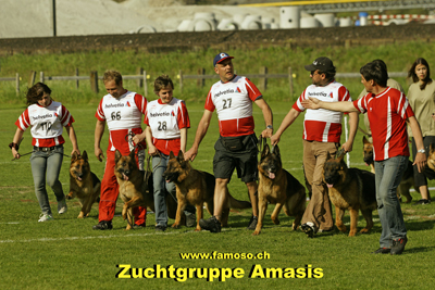 Gewinner Zuchtgruppe *AMASIS*
