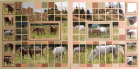 668-021-0-Mosaik-Pferde-BL.jpg