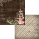 Hase