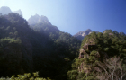 Huangshanwald