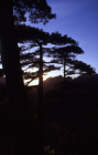 Huangshan Sonnenuntergang
