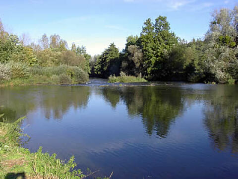 ile de gourzon 1.jpg