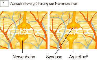 Argireline