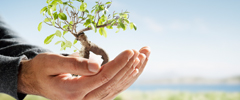 Erfolg mit positivem Denken | Feelyoubetter.de