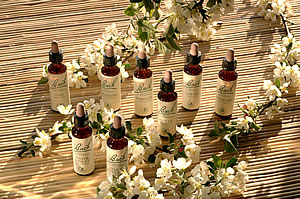 Bachblüten