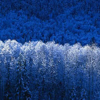 Schnee