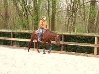 unser Reitplatz  klick >>>   gro&szlig;