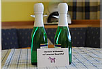 Ferienwohnung 2 - Sonnenkopf