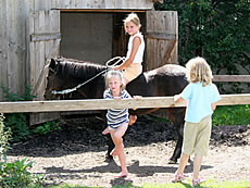 erste Reitversuche auf dem Ferienhof Ritzer in Bayern