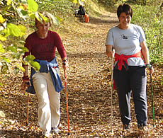 Nordic Walking im Bayerischen Wald