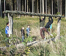 Trimm-Dich-Pfad im Bayerischen Wald