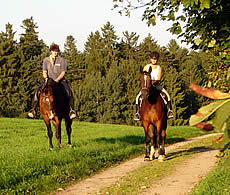 Reiten im Bayerischen Wald