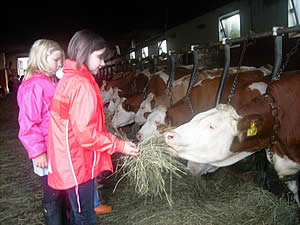 Bauenrhofurlaub am Ferienhof Ritzer