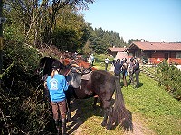 Reiter Isl�nderhof Minderlittgen