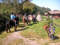 Reiter Isl�nderhof Minderlittgen