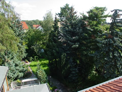 Blick zum Garten2.jpg
