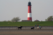 Pellwormer Leuchtturm