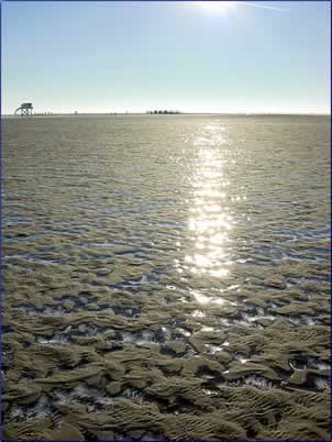 St. Peter Ording Strand vor Ferienhaus