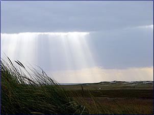 St. Peter Ording Nordsee - Stimmung Dünen
