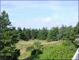 D&uuml;nentr&auml;ume