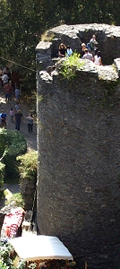 Manderscheider Niederburg