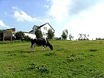 Eifel-Landschaft direkt vor der Haust&uuml;r