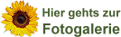 Hier gehts zur Fotogalerie