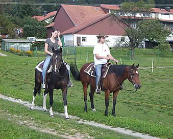 Reitm�glichkeit auf dem Schm�llerhof - Ihr Ferienhof mit Ferienwohnung im Bayerwald in Bayern