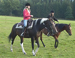 Unsere Stute Gipsy mit Mutter Lady im Hintergrund - Reitferien in Bayern