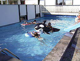 Unser Schwimmbecken direkt vor der Ferienwohnung ist 11m lang, 6m breit und 1,5m tief